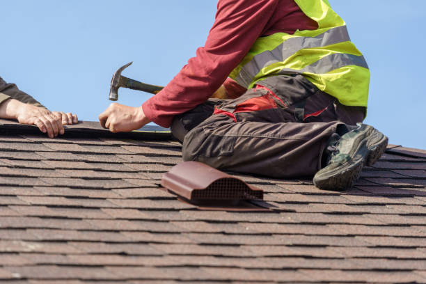 Best Storm Damage Roof Repair  in Ashley, OH