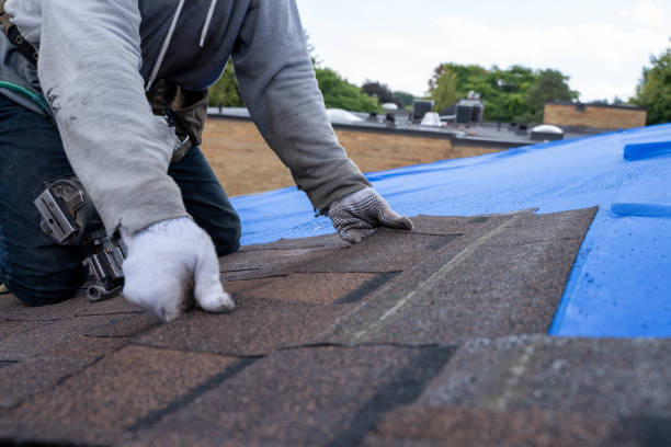 Best Roof Waterproofing Services  in Ashley, OH